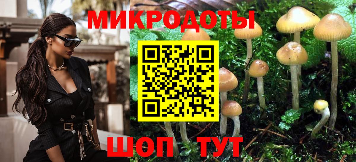 Галлюциногенные грибы Magic Shrooms Ейск