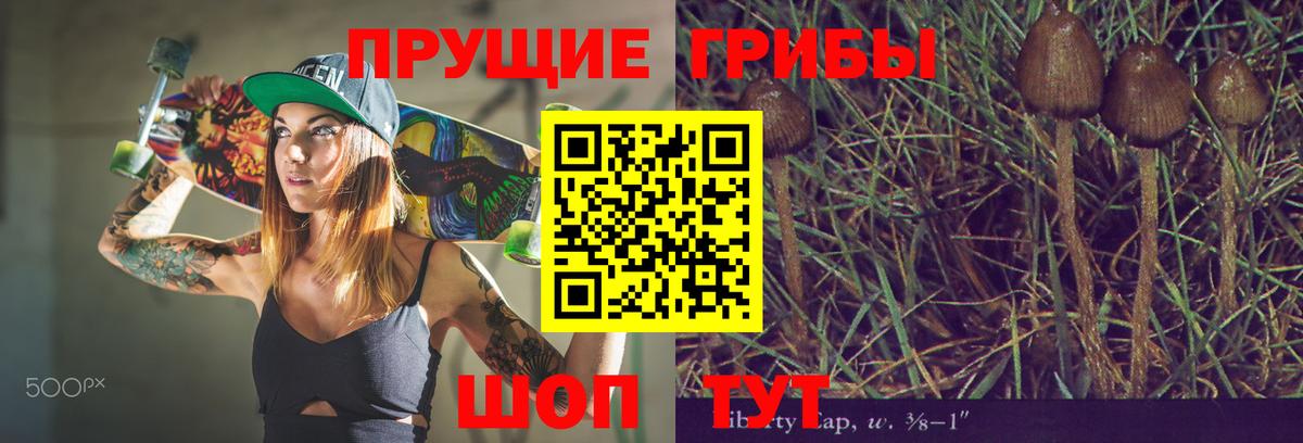 Псилоцибиновые грибы MAGIC MUSHROOMS  Вход с VPN  Ейск 